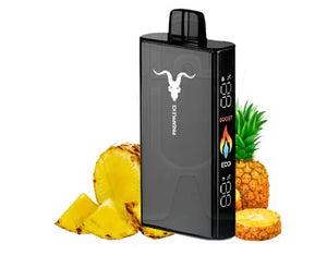 IGNITE V250 25000 PUFFS PINEAPPLE ICE 5% NICOTINA - Indy Argentina